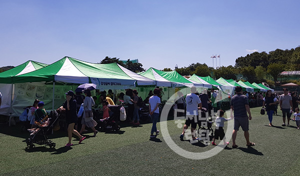 야외 행사용 캐노피 텐트 대여 이미지