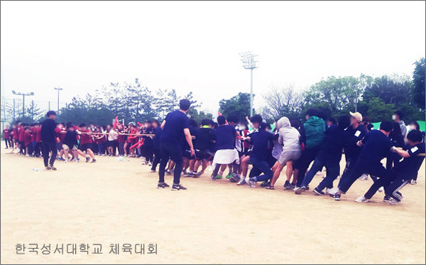 줄다리기줄 상세 이미지 2